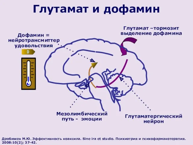 Дробижев М.Ю. Эффективность коаксила. Sine ira et studio. Психиатрия и