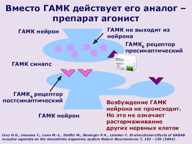 ГАМК нейрон Вместо ГАМК действует его аналог – препарат агонист