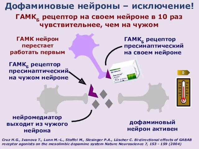 Дофаминовые нейроны – исключение! Cruz H.G., Ivanova T., Lunn M.-L.,