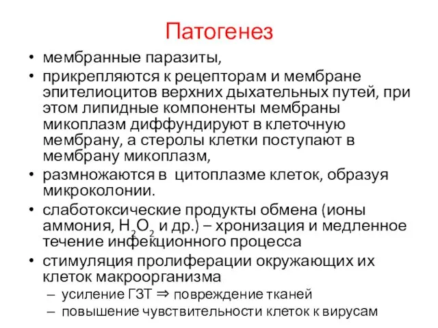 Патогенез мембранные паразиты, прикрепляются к рецепторам и мембране эпителиоцитов верхних