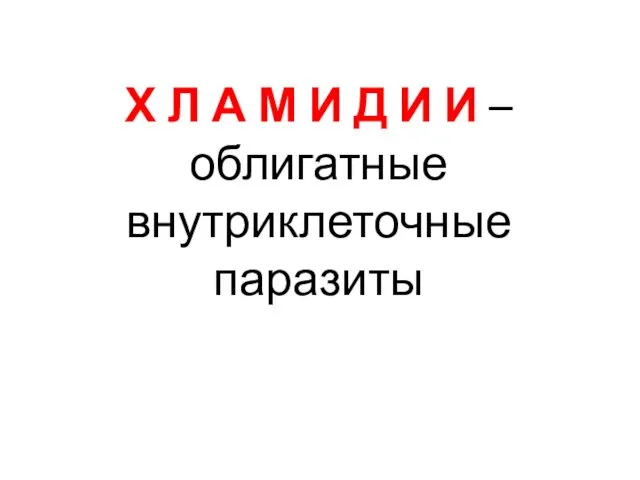 Х Л А М И Д И И –облигатные внутриклеточные паразиты