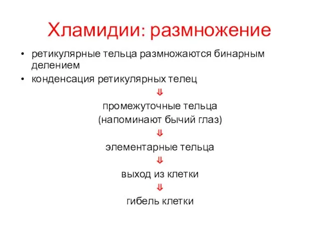 Хламидии: размножение ретикулярные тельца размножаются бинарным делением конденсация ретикулярных телец