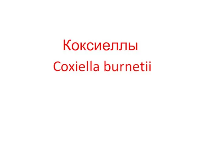 Коксиеллы Coxiella burnetii