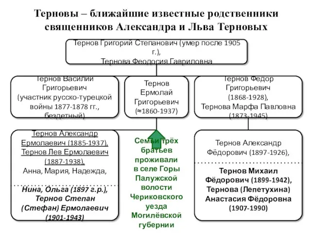 Терновы – ближайшие известные родственники священников Александра и Льва Терновых