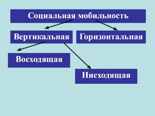 Социальная мобильность Вертикальная Горизонтальная Нисходящая Восходящая