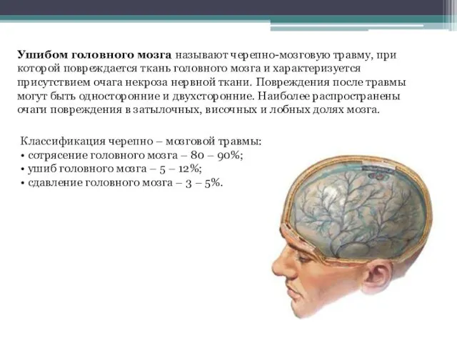 Ушибом головного мозга называют черепно-мозговую травму, при которой повреждается ткань