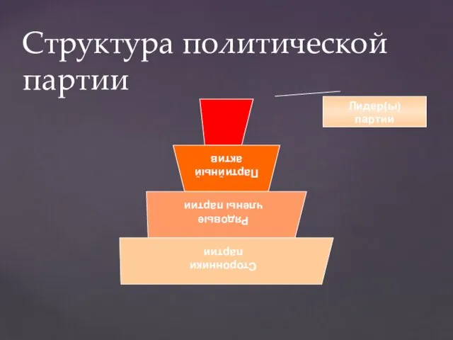 Структура политической партии Лидер(ы) партии