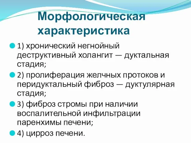 Морфологическая характеристика 1) хронический негнойный деструктивный холангит — дуктальная стадия;