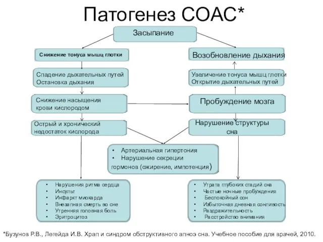 Патогенез СОАС* *Бузунов Р.В., Легейда И.В. Храп и синдром обструктивного