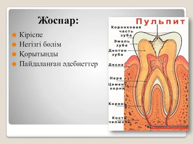 Жоспар: Кіріспе Негізгі бөлім Қорытынды Пайдаланған әдебиеттер