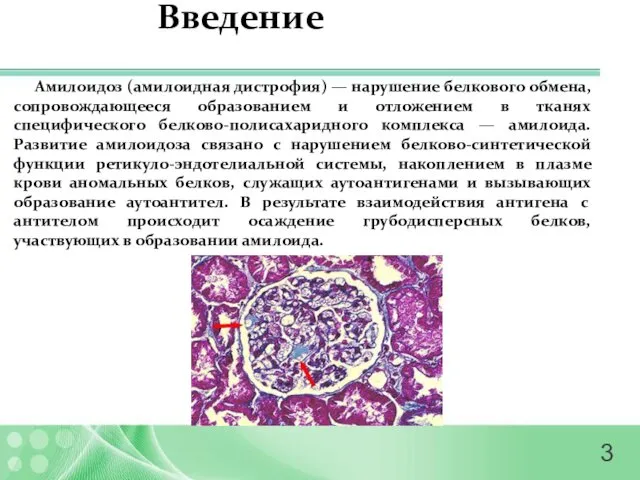 Введение Амилоидоз (амилоидная дистрофия) — нарушение белкового обмена, сопровождающееся образованием