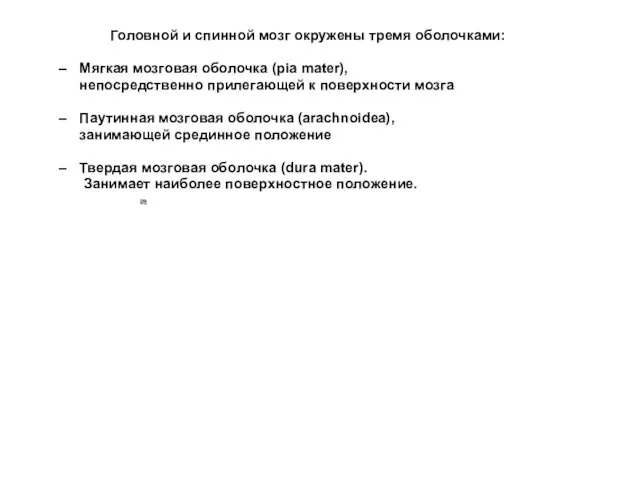 Головной и спинной мозг окружены тремя оболочками: Мягкая мозговая оболочка