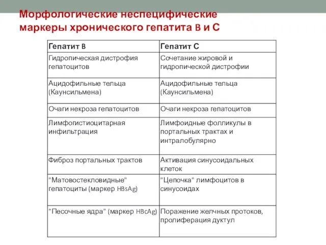 Морфологические неспецифические маркеры хронического гепатита B и Си C