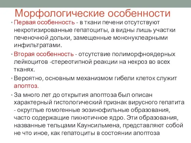 Морфологические особенности Первая особенность - в ткани печени отсутствуют некротизированные