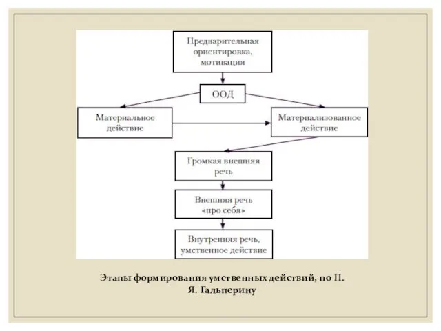 Этапы формирования умственных действий, по П.Я. Гальперину