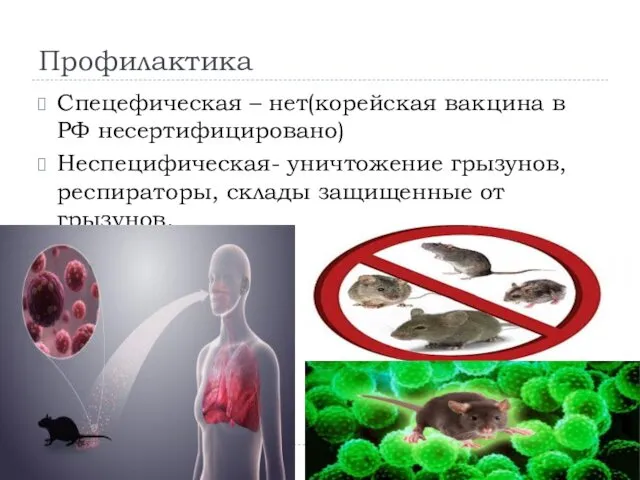 Профилактика Спецефическая – нет(корейская вакцина в РФ несертифицировано) Неспецифическая- уничтожение грызунов, респираторы, склады защищенные от грызунов.