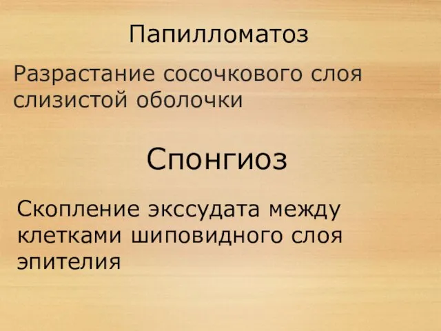 Папилломатоз Разрастание сосочкового слоя слизистой оболочки Спонгиоз Скопление экссудата между клетками шиповидного слоя эпителия