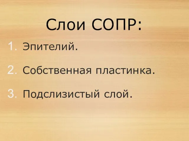 Слои СОПР: Эпителий. Собственная пластинка. Подслизистый слой.