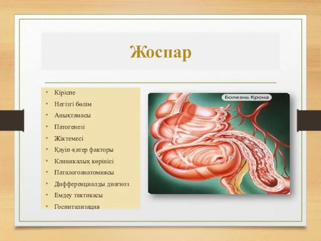 Жоспар Кіріспе Негізгі бөлім Анықтамасы Патогенезі Жіктемесі Қауіп-қатер факторы Клиникалық