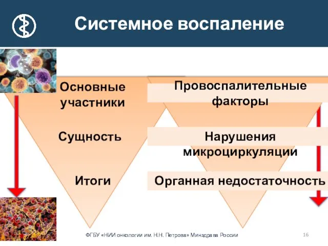 Системное воспаление Основные участники Сущность Итоги Провоспалительные факторы Нарушения микроциркуляции Органная недостаточность