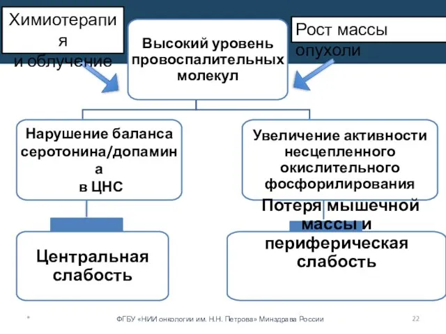 * Химиотерапия и облучение Рост массы опухоли