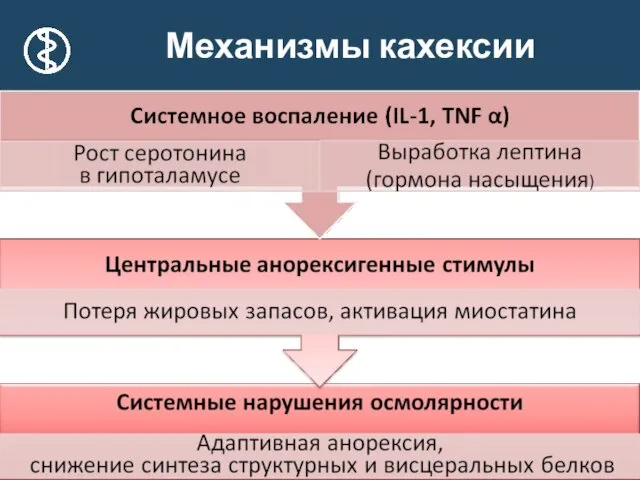 Механизмы кахексии