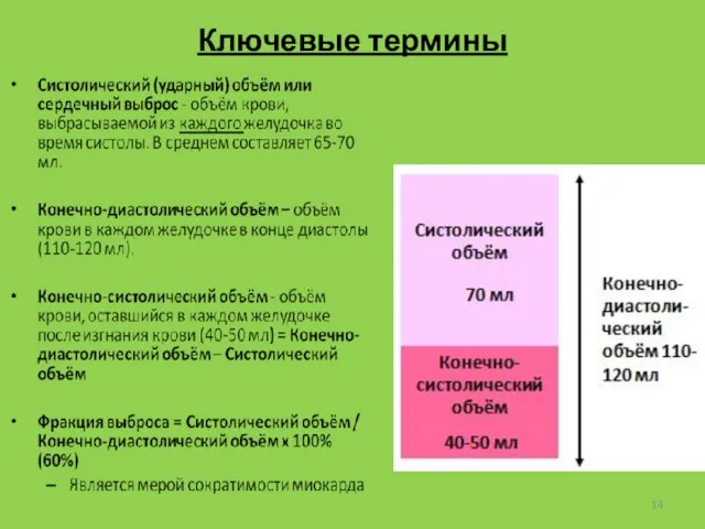 Ключевые термины