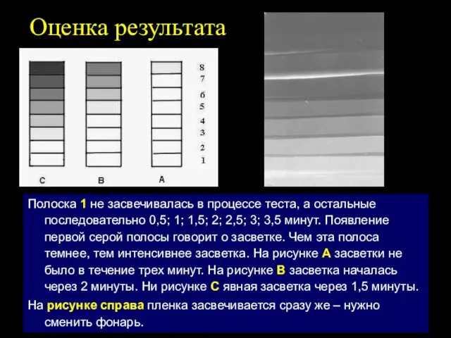 Оценка результата Полоска 1 не засвечивалась в процессе теста, а