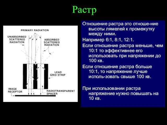 Растр Отношение растра это отноше-ние высоты лямелей к промежутку между