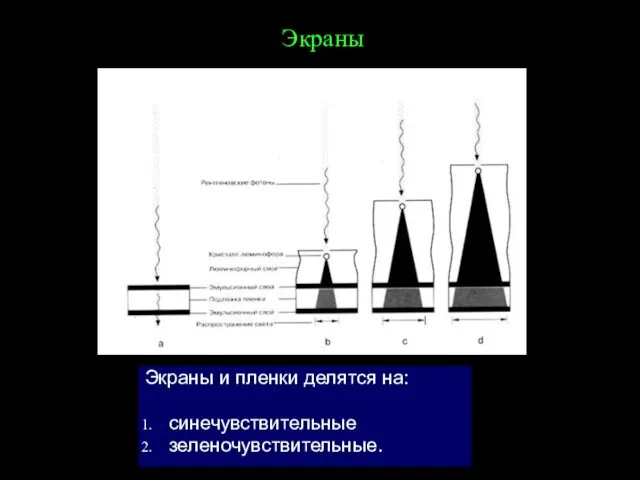 Экраны Экраны и пленки делятся на: синечувствительные зеленочувствительные.