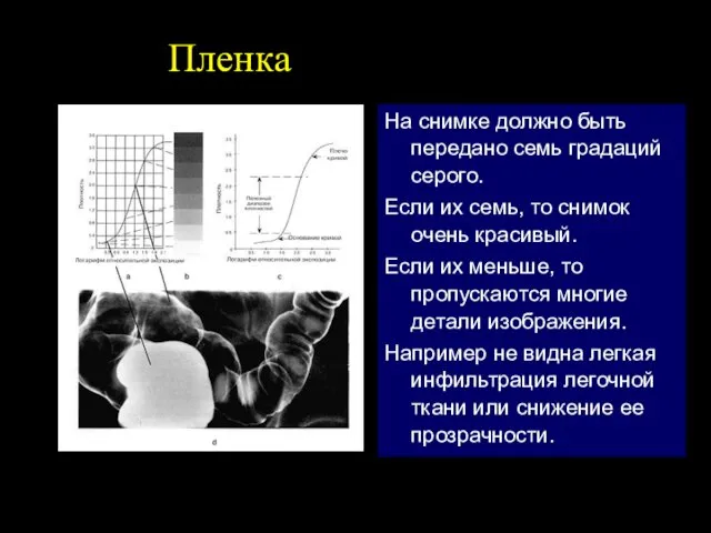 Пленка На снимке должно быть передано семь градаций серого. Если