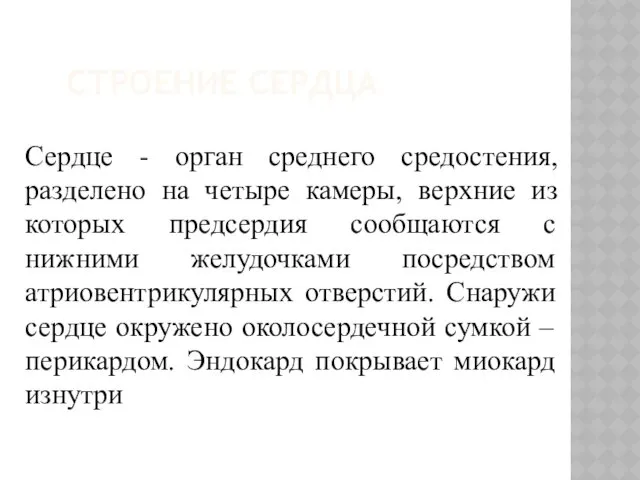 СТРОЕНИЕ СЕРДЦА Сердце - орган среднего средостения, разделено на четыре