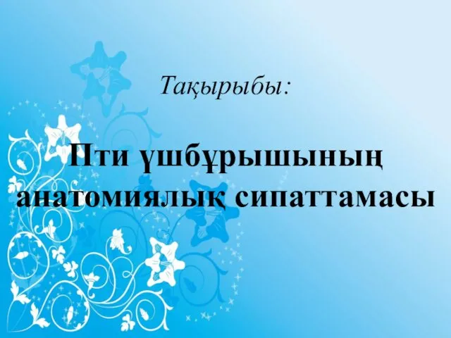 Тақырыбы: Пти үшбұрышының анатомиялық сипаттамасы