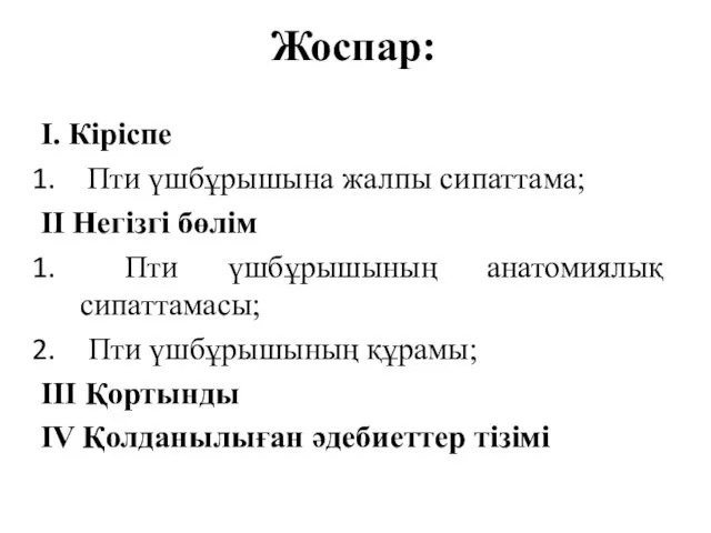 Жоспар: І. Кіріспе Пти үшбұрышына жалпы сипаттама; ІІ Негізгі бөлім