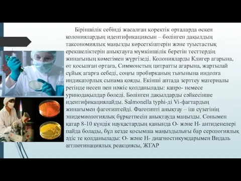 Біріншілік себінді жасалған қоректік орталарда өскен колониялардың идентификациясын – бөлінген