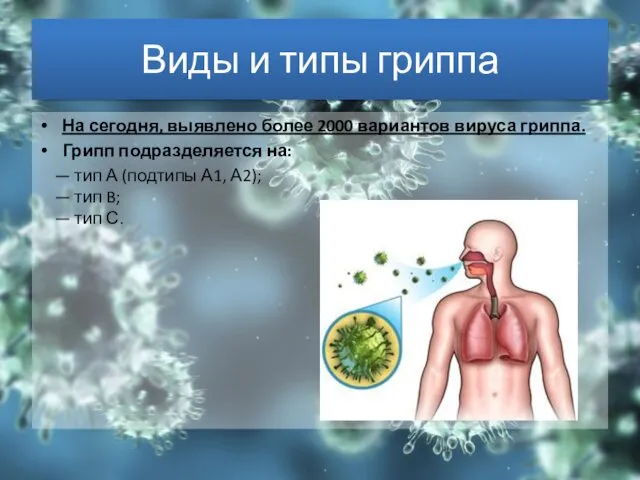 Виды и типы гриппа На сегодня, выявлено более 2000 вариантов