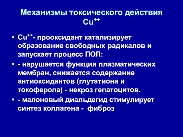 Механизмы токсического действия Cu++ Cu++- прооксидант катализирует образование свободных радикалов