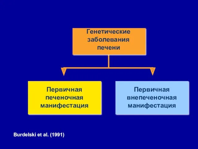 Первичная печеночная манифестация Первичная внепеченочная манифестация Генетические заболевания печени Burdelski et al. (1991)