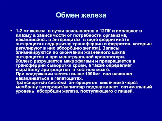 Обмен железа 1-2 мг железа в сутки всасывается в 12ПК