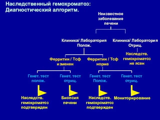 Наследственный гемохроматоз: Диагностический алгоритм. Наследств. гемохроматоз подтвержден Наследств. гемохроматоз подтвержден Биопсия печени Мониторирование