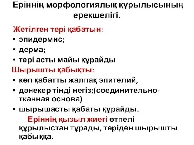 Еріннің морфологиялық құрылысының ерекшелігі. Жетілген тері қабатын: эпидермис; дерма; тері