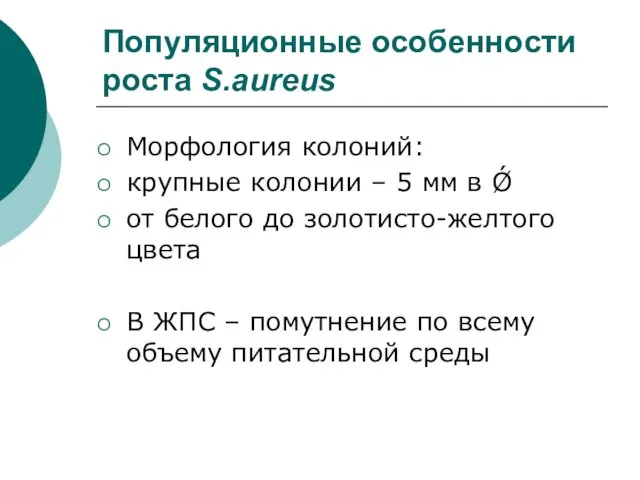 Популяционные особенности роста S.aureus Морфология колоний: крупные колонии – 5