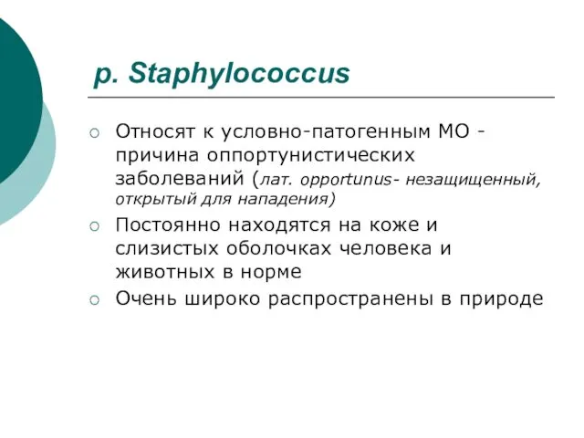 р. Staphylococcus Относят к условно-патогенным МО -причина оппортунистических заболеваний (лат.