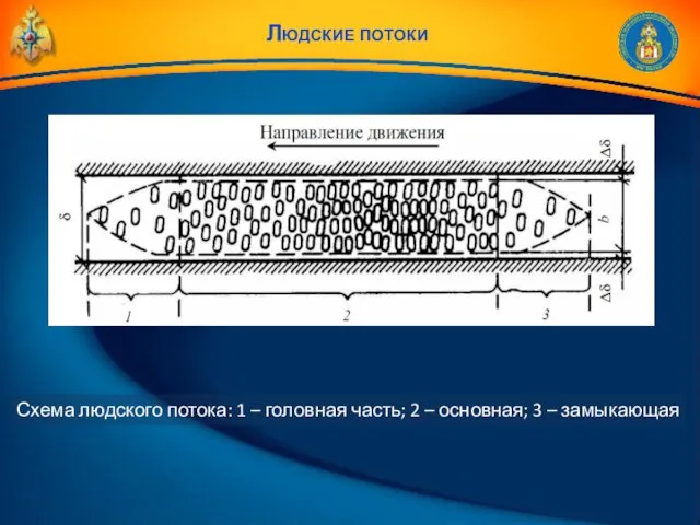 Людские потоки Схема людского потока: 1 – головная часть; 2 – основная; 3 – замыкающая