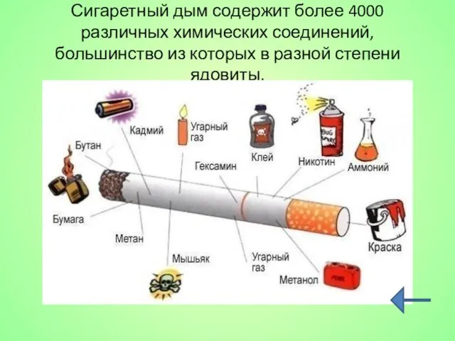 Сигаретный дым содержит более 4000 различных химических соединений, большинство из которых в разной степени ядовиты.