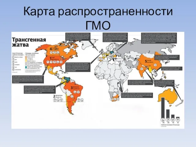 Карта распространенности ГМО