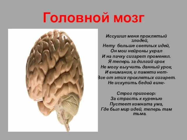 Головной мозг Иссушил меня проклятый злодей, Нету больше светлых идей,