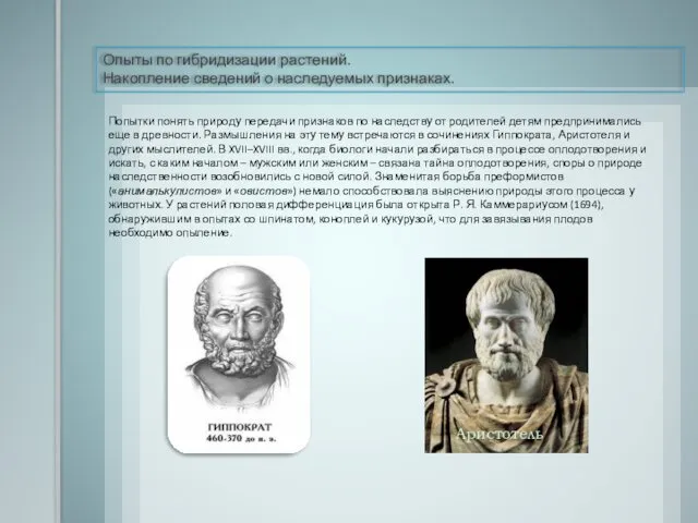 Опыты по гибридизации растений. Накопление сведений о наследуемых признаках. Попытки