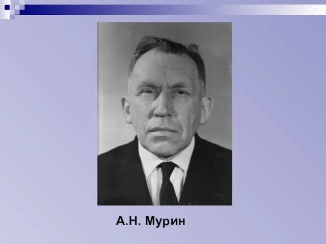 А.Н. Мурин