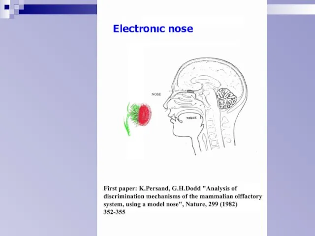 Electronic nose